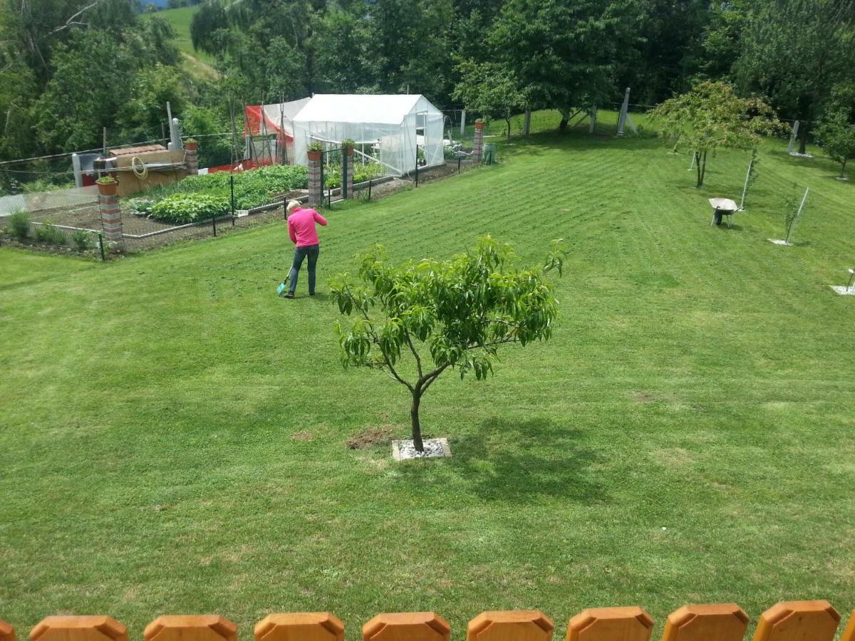 Sostanj Velenje Ravne Sobe Rooms Vrtacnik D O O Экстерьер фото