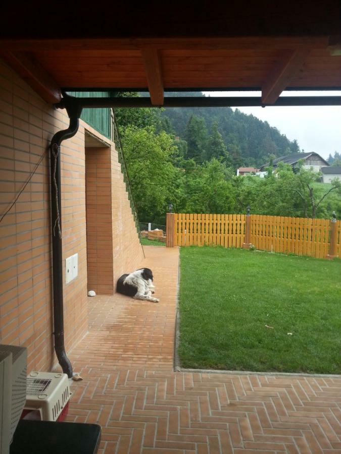 Sostanj Velenje Ravne Sobe Rooms Vrtacnik D O O Экстерьер фото